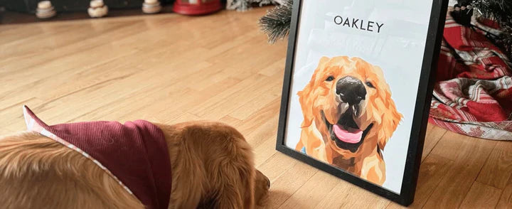 Best Gift for Dog Owners