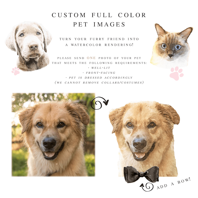 Digital Watercolor Rendering Pet Portrait